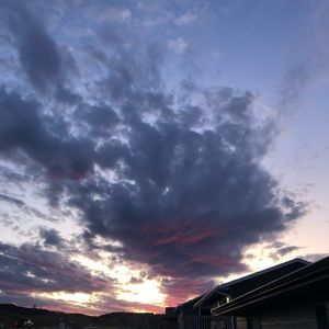 Meet your Posher, Bailey